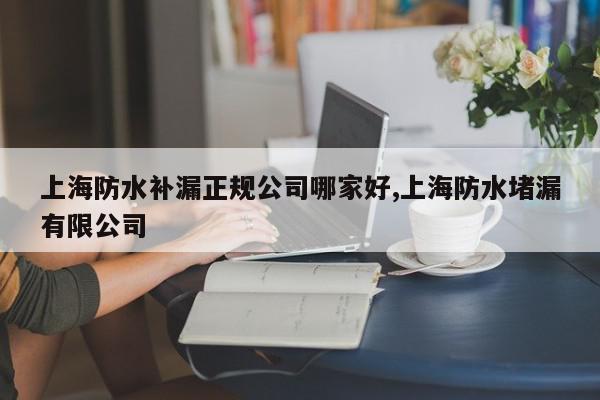 上海防水补漏正规公司哪家好,上海防水堵漏有限公司