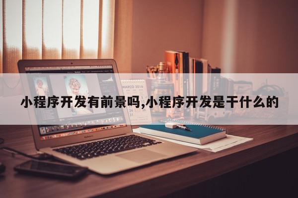 小程序开发有前景吗,小程序开发是干什么的